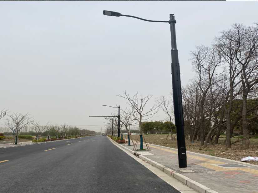 佛山市上海综合杆 太阳能路灯工程